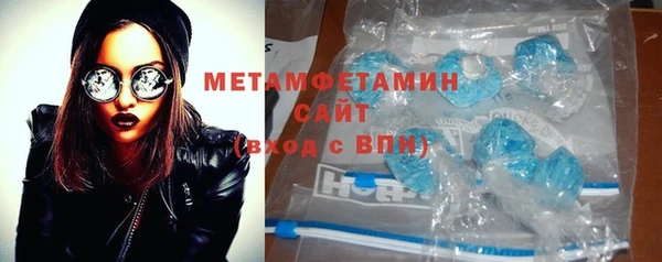 стаф Касимов