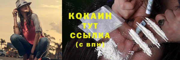 стаф Касимов