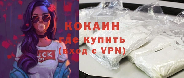 стаф Касимов