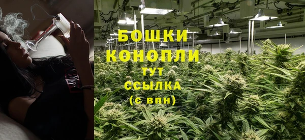 стаф Касимов