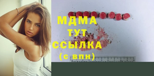 стаф Касимов