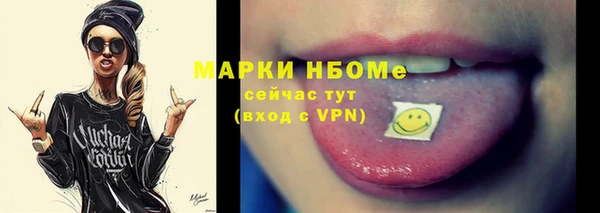 стаф Касимов