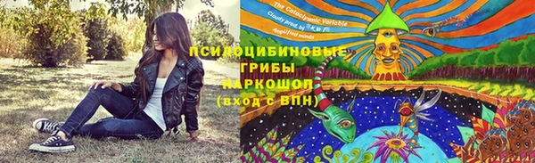 стаф Касимов
