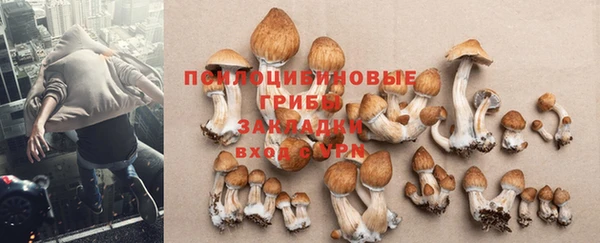 амфетамин Карпинск