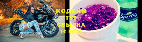 стаф Касимов