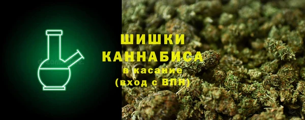 стаф Касимов