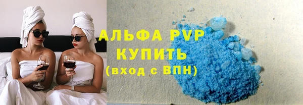 стаф Касимов